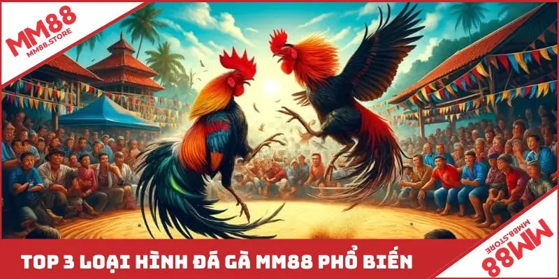 Top 3 loại hình đá gà MM88 phổ biến